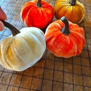 Small velvet pumpkins